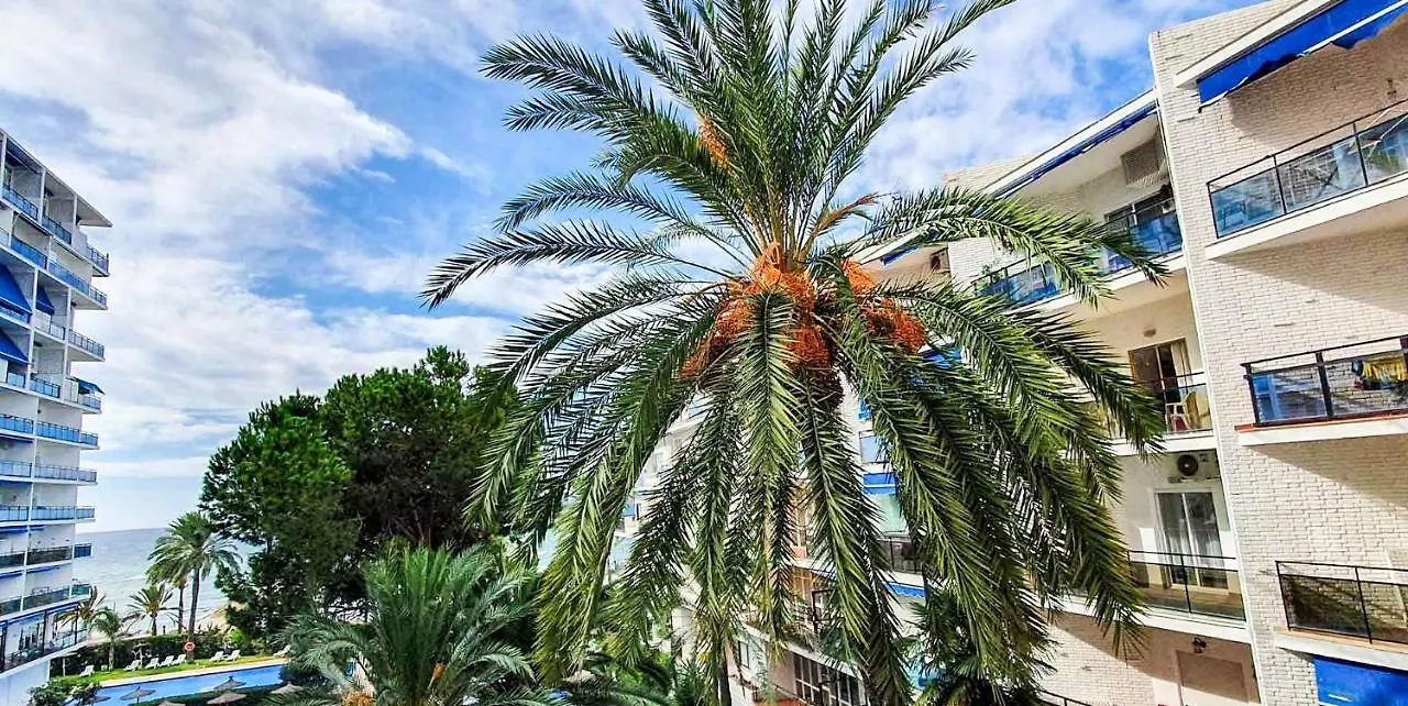 Skol Apartments Marbella Spain